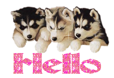 13277.gif